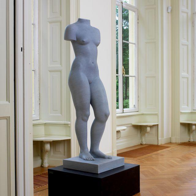 Venus 103